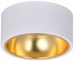Светильник накладной потолочный под лампу GX53 белый/золото 4017 LIGHTING IEK (1/30)